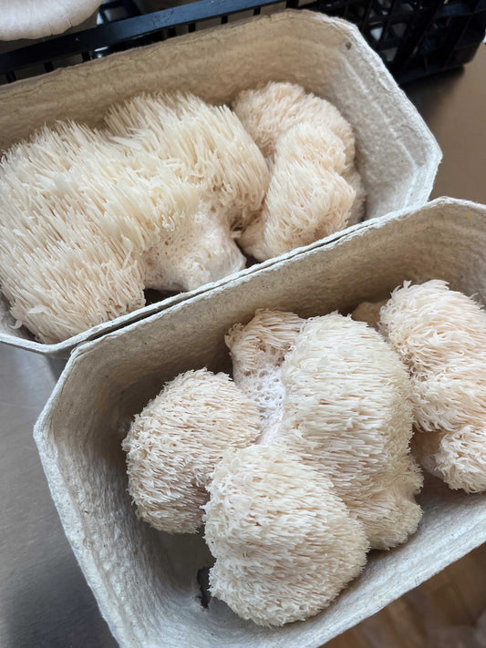 Lion's Mane Steak