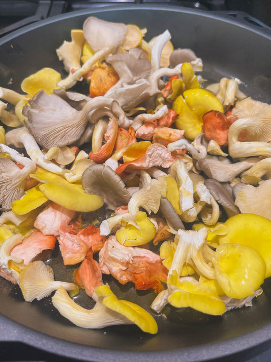 Oyster Mushrooms on Toast