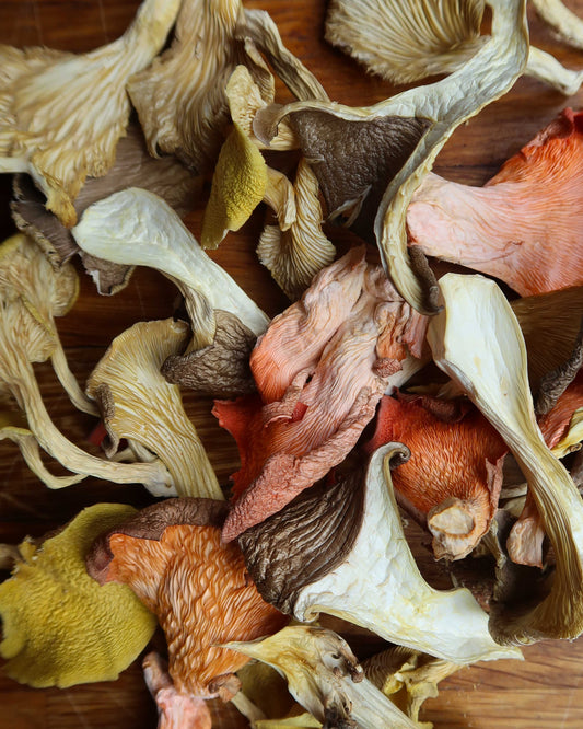 Dried 'Fal Oyster' Mushroom Selection 30g