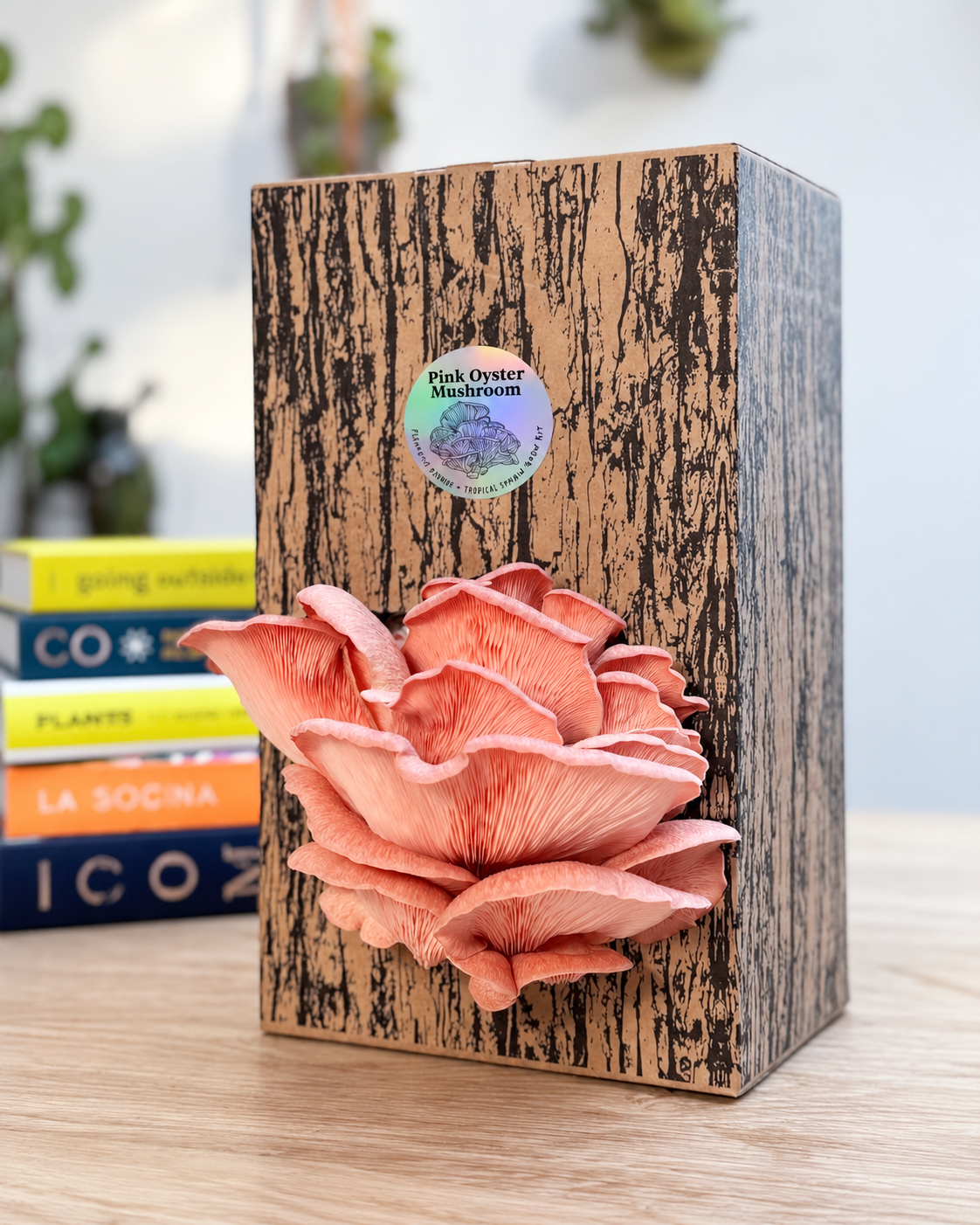 Pink Oyster Grow Kit