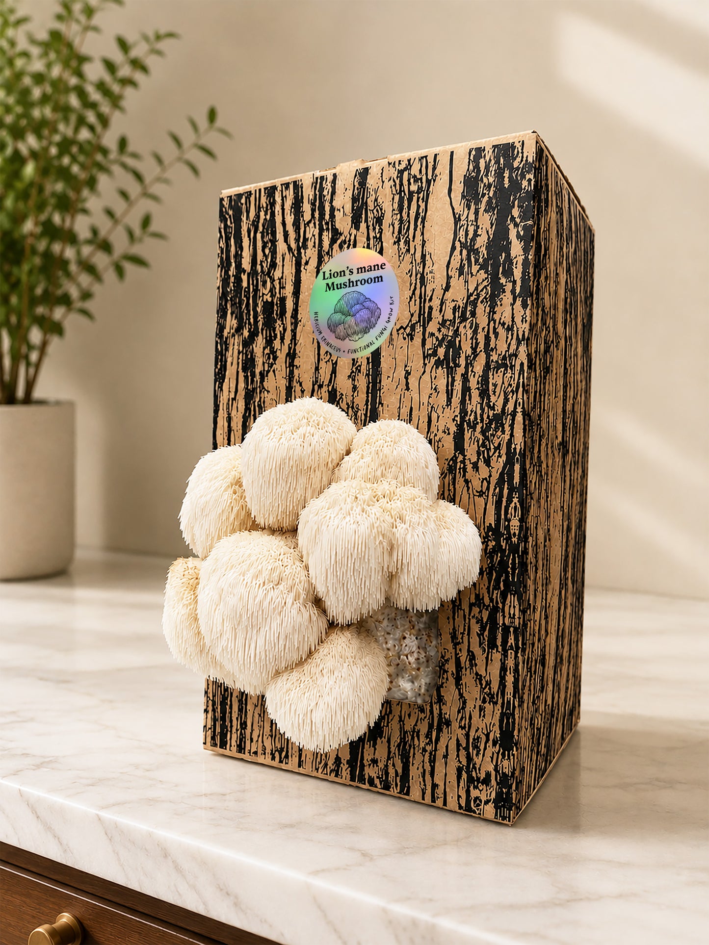 Lion's Mane Grow Kit