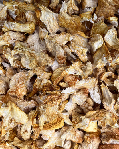 Close-up of dried Lion’s Mane mushroom pieces