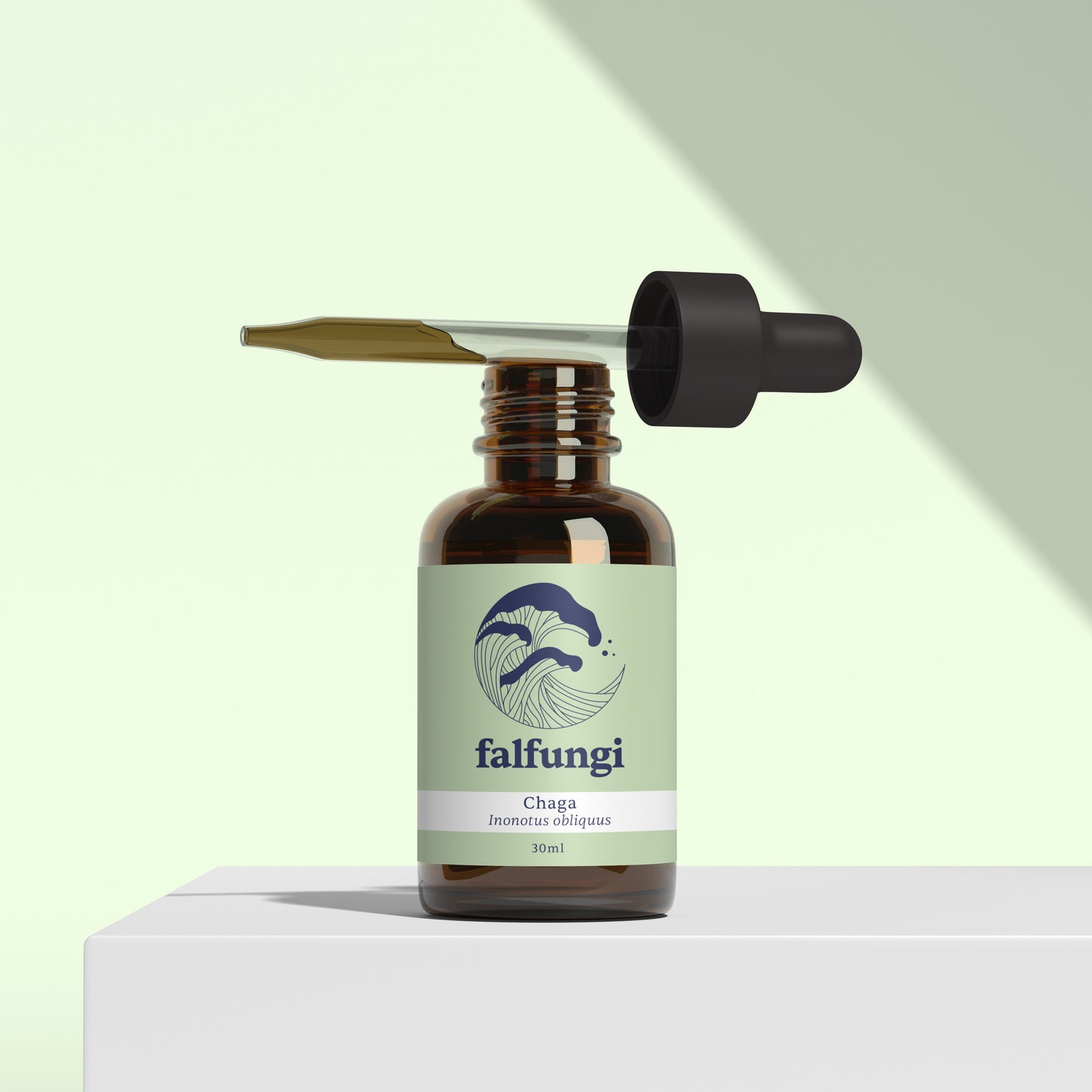 Chaga 1:4 Triple Extract Tincture