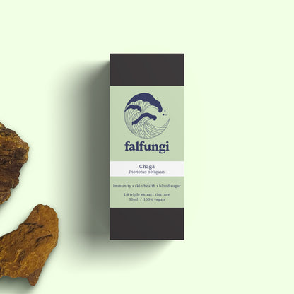 Chaga 1:4 Triple Extract Tincture