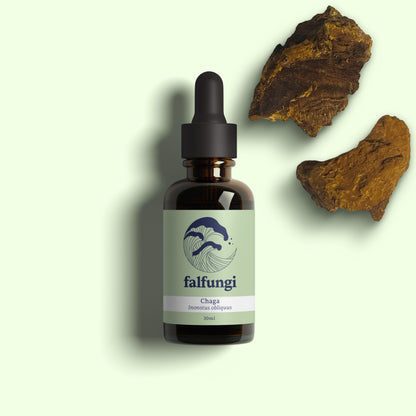Chaga 1:4 Triple Extract Tincture