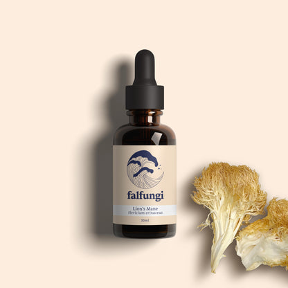 Lion’s Mane 1:4 Triple Extract Tincture