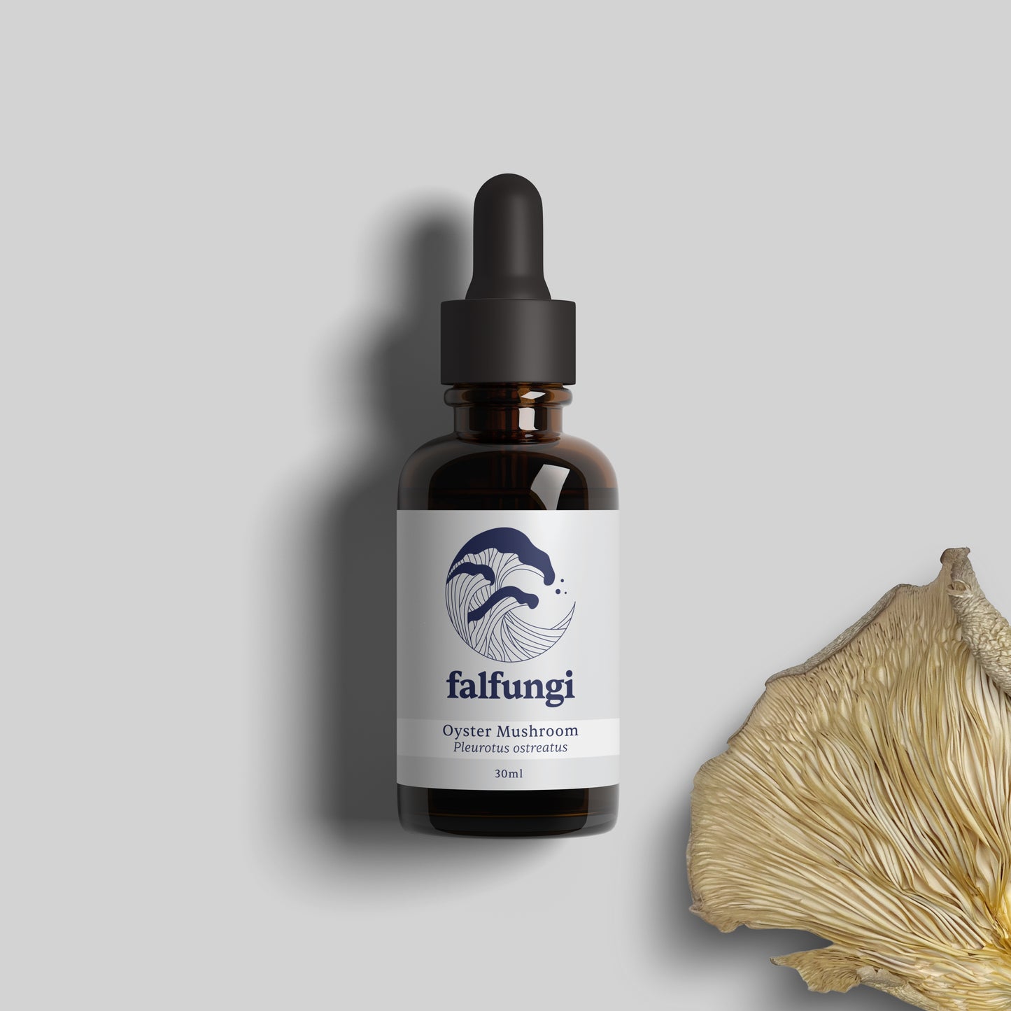 Oyster Mushroom 1:4 Triple Extract Tincture