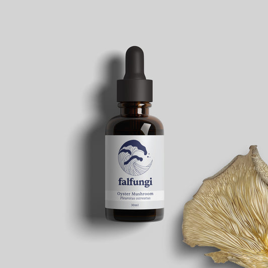 Oyster Mushroom 1:4 Triple Extract Tincture
