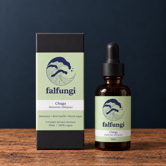 Chaga 1:4 Triple Extract Tincture
