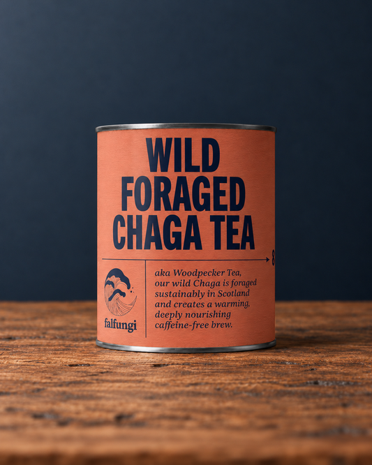 Wild Foraged Chaga Tea 80g