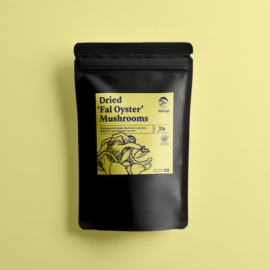 Dried 'Fal Oyster' Mushroom Selection 30g