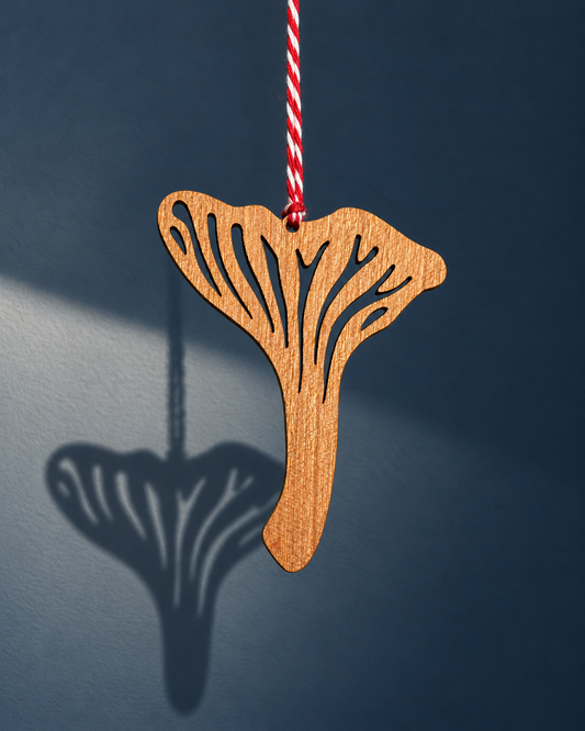 Wooden Mushroom Christmas Decorations
